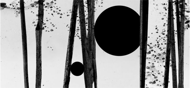 175951097 4197705240250431 8402675647346160155 n 1 768x355